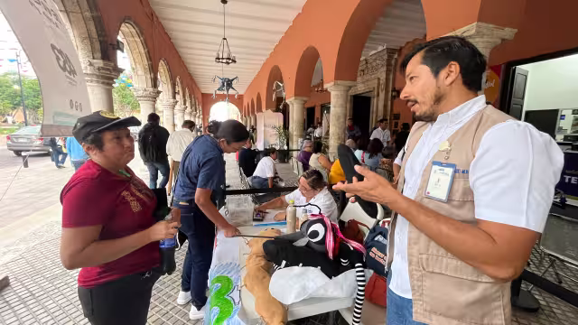 Promueven esfuerzos para evitar la proliferación de larvas de mosquito en Mérida