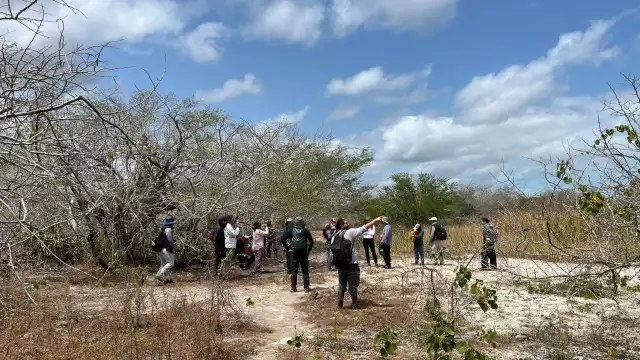 La iniciativa Tech4nature México, ha logrado identificar a 147 especies, entre las que destacan 13 individuos de jaguar