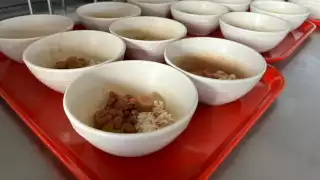 Hoteles de Cancún desperdician hasta cinco toneladas de comida al día