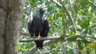 El ecoturismo representa una oportunidad para conservar la naturaleza y generar derrama económica para las comunidades