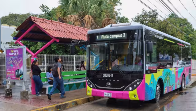 Caso “Amor X Carmen” exhibe incongruencia y descontento social en Campeche