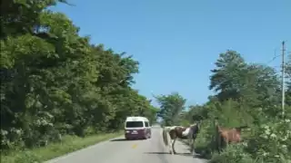 Accidente fatal rumbo a Calax deja un joven muerto y otro herido