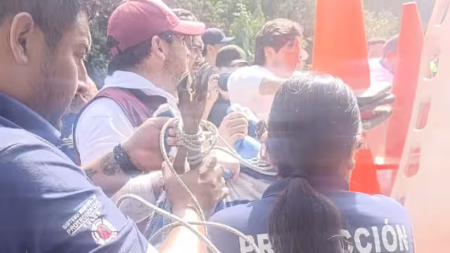 Personal de Protección Civil realizó el rescate del animal para ser atendido