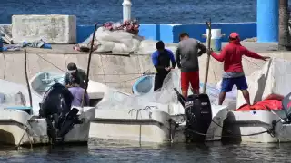 Dirigentes de cooperativas externaron su preocupación porque a pesar de las lluvias y el enfriamiento del agua, no ven abundancia de especies marinas