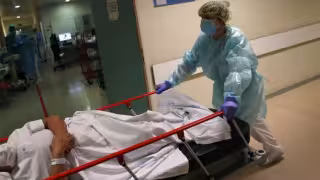 Miasis por gusano barrenador avanza en Campeche; acusan a la Secretaría de Salud de minimizar los casos