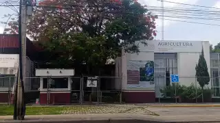 Crece el malestar por inacción de Conapesca y Sader en zonas pesqueras en Campeche