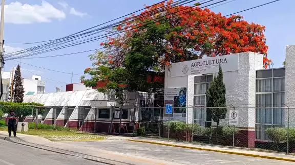 No es la primera vez que esta casa editorial intenta contactar a Conapesca para una entrevista No es la primera vez que esta casa editorial intenta contactar a Conapesca para una entrevista