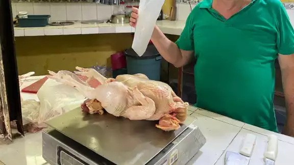 El precio del pollo fresco en Hopelchén aumentó de 62 a 65 pesos, afectando levemente la economía familiar El precio del pollo fresco en Hopelchén aumentó de 62 a 65 pesos, afectando levemente la economía familiar