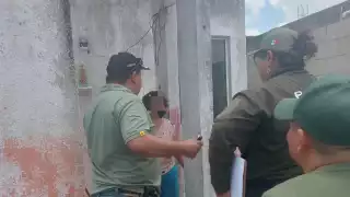 Rescatan a cuatro perros por presunto maltrato animal en Kanasín