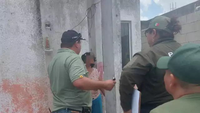 Los perros se encontraban en el domicilio de una mujer