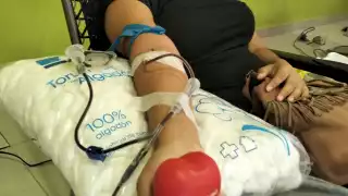 Campaña de donación de sangre en Campeche: Jóvenes lideran la solidaridad