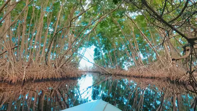 Campeche ofrece destinos ideales para relajarse y reconectar con la naturaleza.