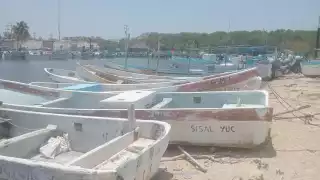 Tragedia en Celestún: Muere un buzo por descompresión en plena veda de langosta