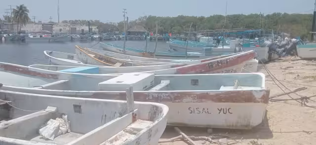 Fallece un buzo luego de sufrir descompresión en plena temporada de veda de langosta