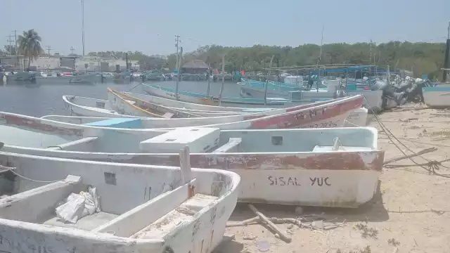 Fallece un buzo luego de sufrir descompresión en plena temporada de veda de langosta