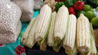  ¡Llévele marchante! En Campeche rematan elotes por sobreproducción   