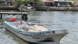 Aumento de temperatura en el mar provoca escasez de robalo y pargo en Ciudad del Carmen   