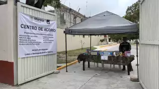Tras el paso del huracán "Erick", la Marina activó centros de acopio en apoyo a damnificados en Oaxaca.