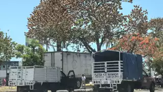 PEMEX, el pretexto: transportistas en Carmen llevan seis meses sin cobrar