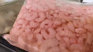 Inició la veda del camarón y otras especies marinas en la isla.