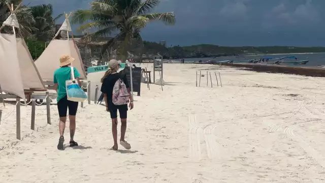 El sargazo que arriba a las playas es otra limitante que sufren los trabajadores, pues éste ahuyenta a los viajeros