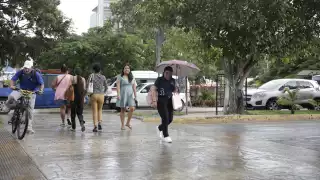 Una de las recomendaciones es no caminar por calles encharcadas