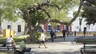 Un sistema anticiclónico impide la posible llegada de algún frente frío.