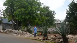 Exfuncionario de Campeche se habría apropiado de un predio ejidal al Norte de Mérida