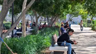 Tener una red de apoyo ayuda contra la depresión estacional, que afecta a algunas personas