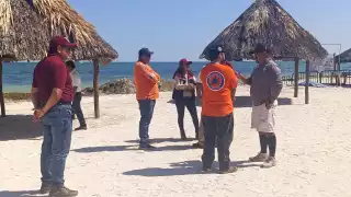 alneario Inclusivo abrirá con medidas de seguridad y limpieza reforzada