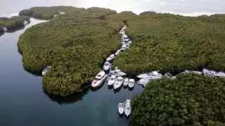 Usan los manglares para esconder los yates en Cancún