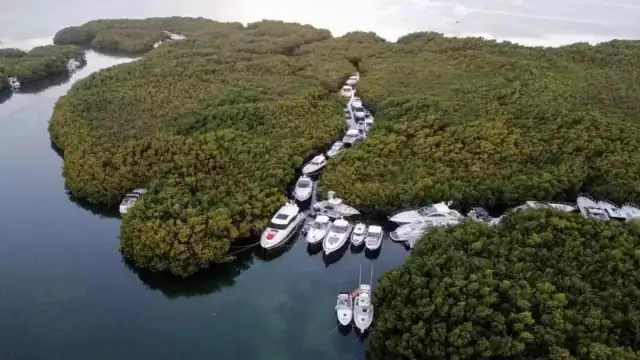 Son decenas de embarcaciones las refugiadas en los manglares