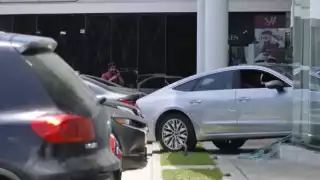 El conductor pisó el acelerador e ingresó al local