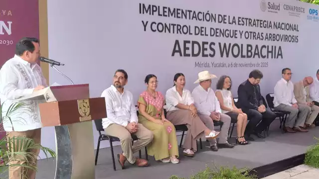 Solo en el 2024, se registraron más de medio millón de casos en todo el país