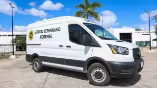 Vecinos de Pisté exigen que se investigue el envenenamiento de mascotas