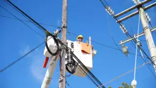 La CFE realizará trabajos de mantenimiento en la zona costera de Yucatán