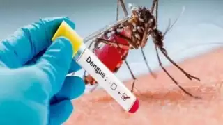 181 casos son de dengue no grave 