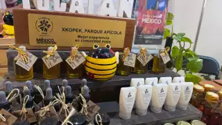 El Parque Apícola de Meliponas Xkopek salvaguarda 16 especies de estos insectos originarios de Yucatán