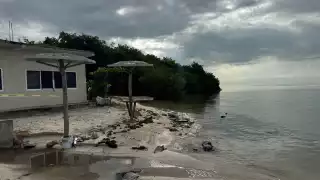 Hallan cuerpo sin vida flotando en la Laguna de Términos;  desconocen su identidad