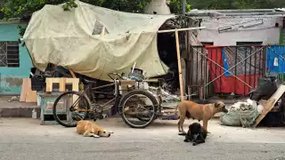 La vivienda en la colonia Roma de Mérida fue atendida por el Ayuntamiento