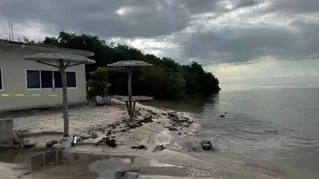 Peritos y Guardia Nacional levantan cuerpo en Laguna de Términos