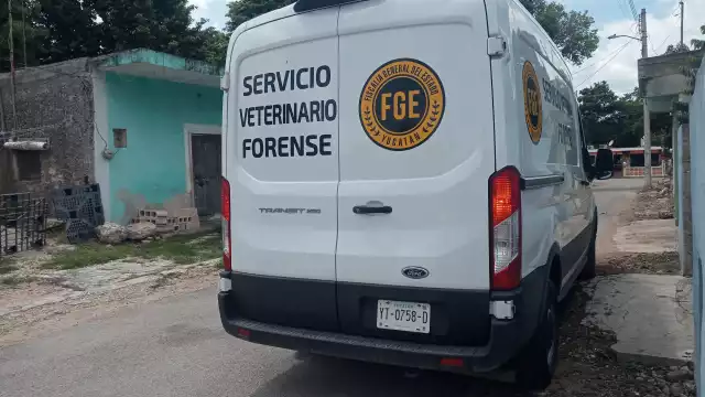 El Sevefo investiga lo ocurrido en Baca