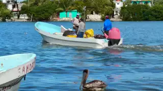 Crecen asaltos por piratas modernos en Campeche: Pescadores denuncian falta de apoyo 