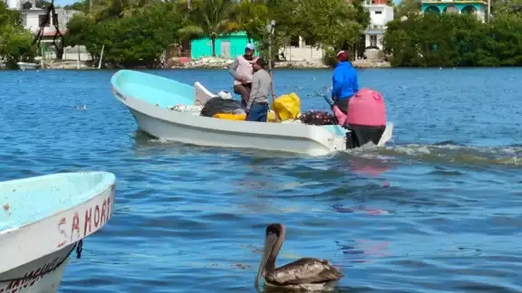 Pescadores de Campeche son víctimas de asaltos por "piratas modernos" Pescadores de Campeche son víctimas de asaltos por "piratas modernos"