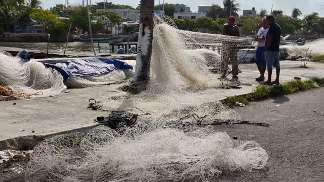 Los que se dedican a la actividad acusan que a las autoridades no les importa lo que ocurre