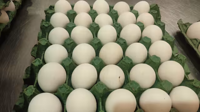 El precio del producto lo llevará a convertirse en un “lujo”, asegura dirigente sindical.