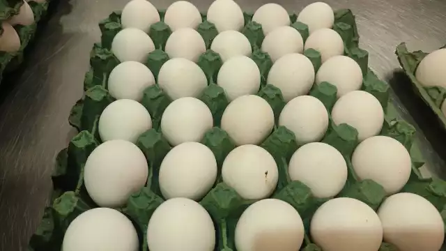 El precio del producto lo llevará a convertirse en un “lujo”, asegura dirigente sindical.