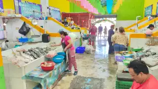 Repunte en el Mercado de Mariscos del Carmen por Semana Santa: Locatarios esperan éxito total