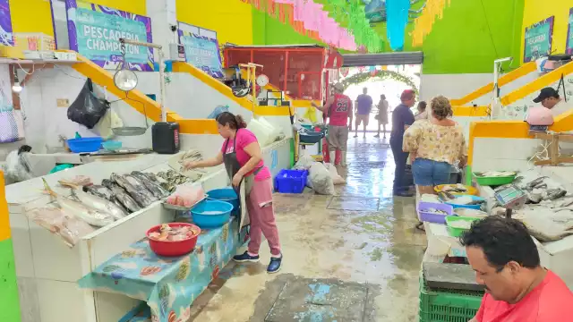 Ventas de pescados y mariscos al alza en el Mercado de Mariscos de Ciudad del Carmen
