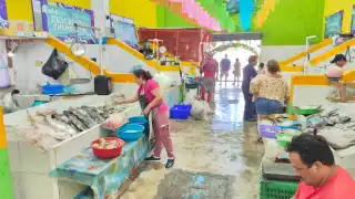 Ventas de pescados y mariscos al alza en el Mercado de Mariscos de Ciudad del Carmen